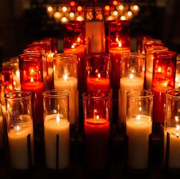 découvrez comment évaluer la valeur de votre collection de mangas