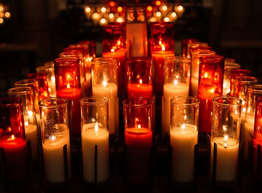 découvrez comment évaluer la valeur de votre collection de mangas